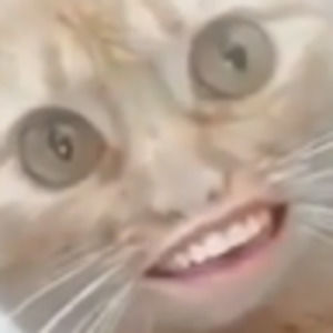 Meet your Posher, Focaccia